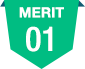 MERIT 01